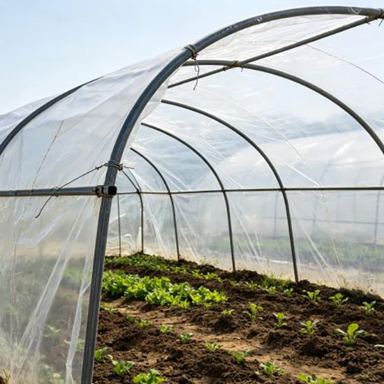 ERW Greenhouse Steel Pipe
